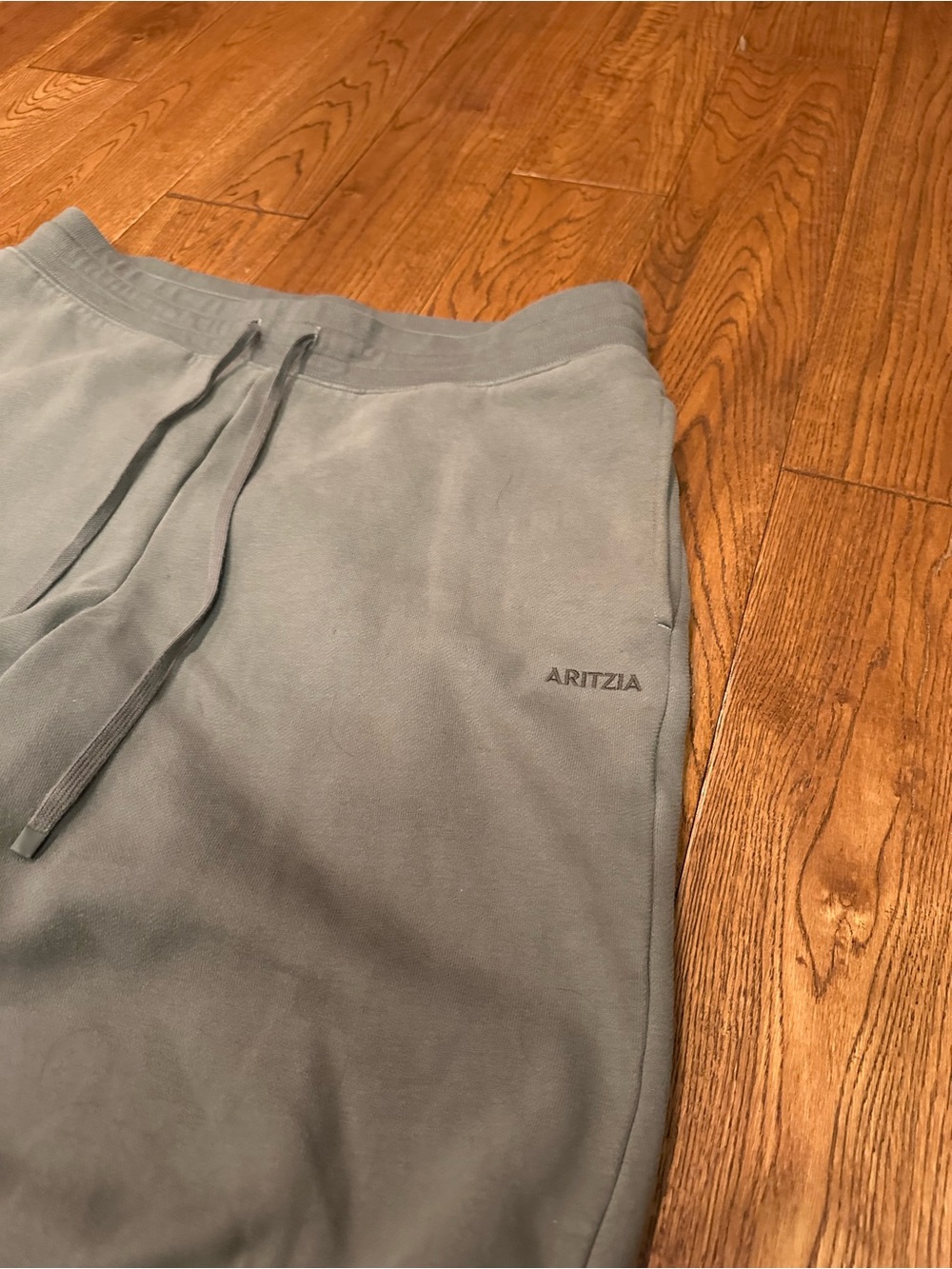 Aritzia Cozy Sweatfleece Sweatpants in Light Gray